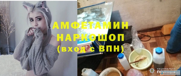 индика Арсеньев