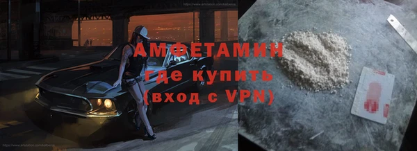 индика Арсеньев
