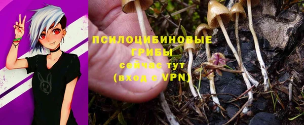 гидра Аркадак