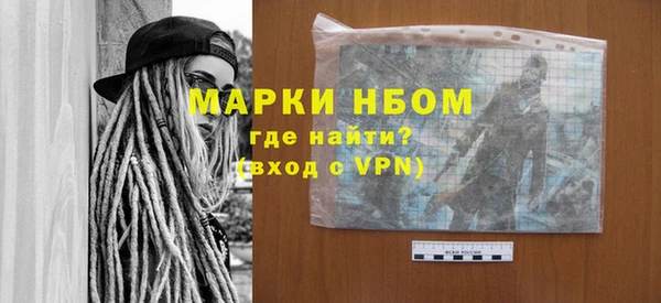 индика Арсеньев