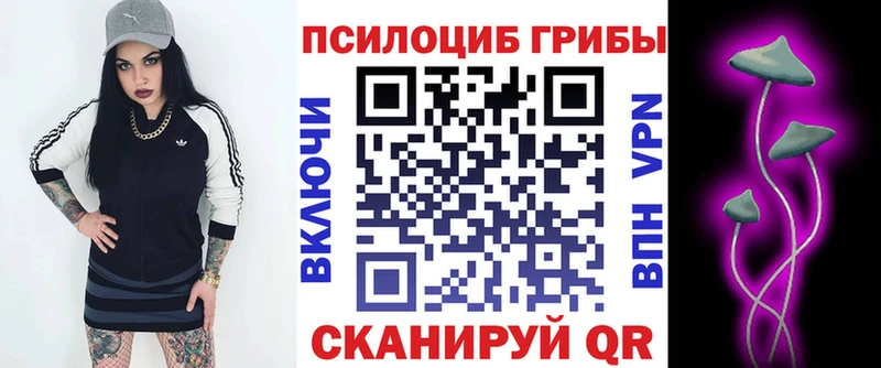 Псилоцибиновые грибы Magic Shrooms  цена   нарко площадка состав  Аткарск 